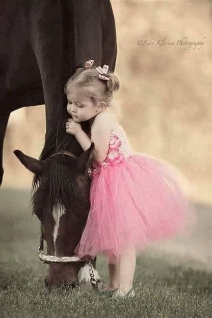 - Cai animale nobile