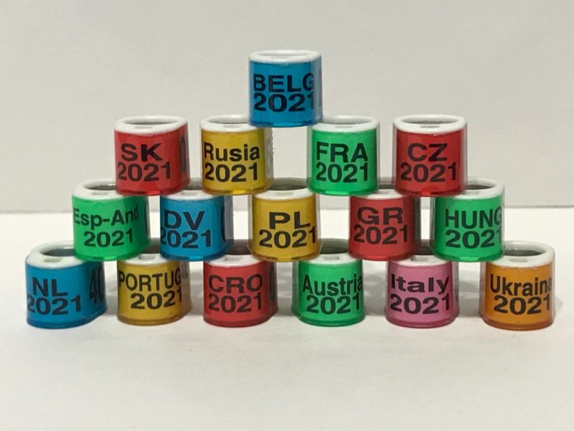 DA7249EA-662D-43A4-B705-EB1789ED576B - 000 Inele Porumbei Tari Străine 2021 cu locaș cip