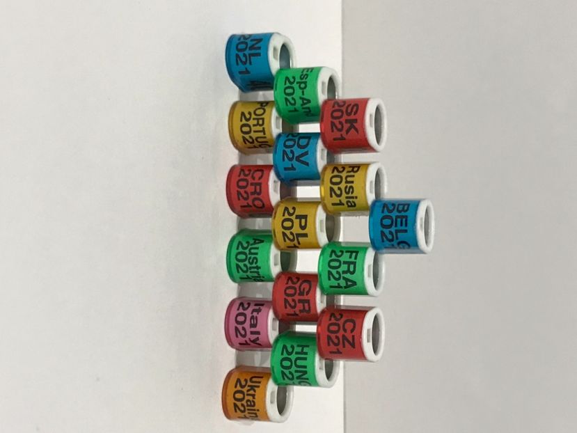 384318D1-CCDE-4625-BC62-147508B9E21A - 000 Inele Porumbei Tari Străine 2021 cu locaș cip