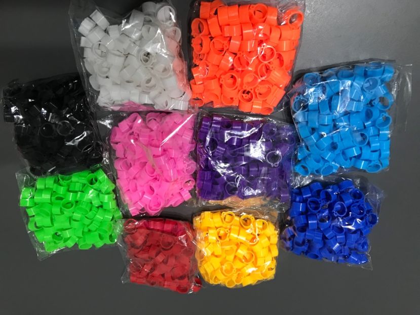 578FD4F7-5044-4EF3-B2B0-2E6660E57ED6 - 0 Noitati Mai 2021