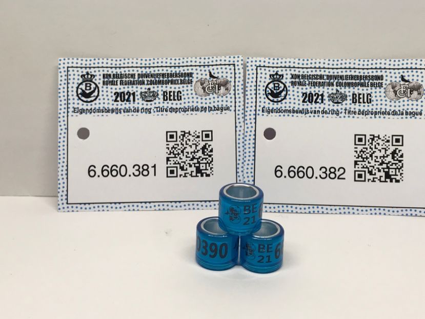 9AC3A28F-70B0-4351-8444-1597C09C5864 - 0 Noitati Mai 2021