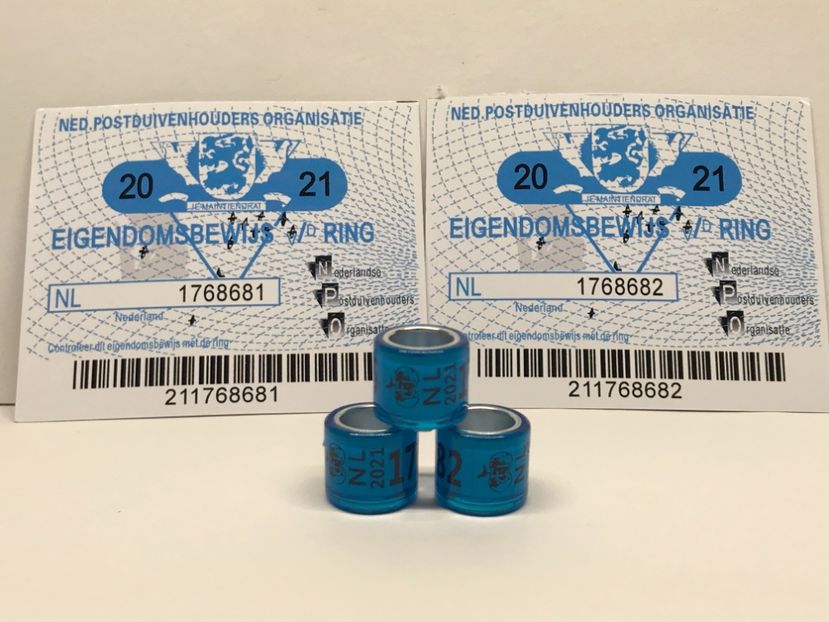 DEAAE3D4-D2EE-429D-98F6-94A83CD6C361 - 0 Noitati Mai 2021