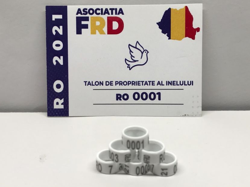 B723A965-1131-4F36-9A81-A7A3DE5198DA - 0 Noitati Mai 2021