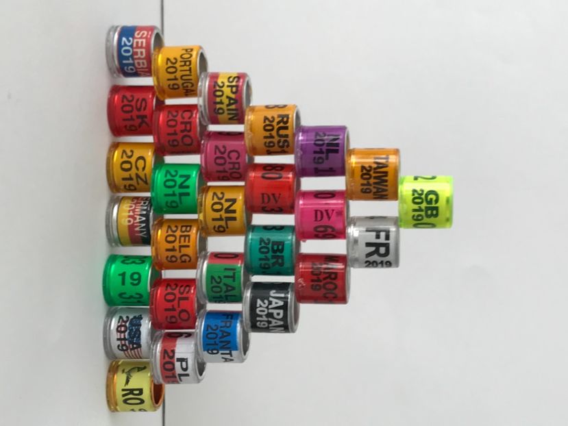 D7E6CF97-7195-456E-8AD5-CD1F221AE724 - 0 Noitati Mai 2021