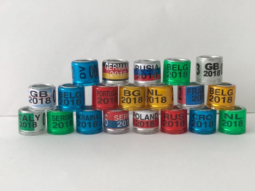 C11A7BDE-C499-435F-BDEA-74EBA747048F - 0 Noitati Mai 2021