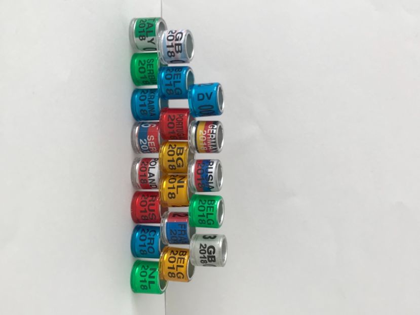 99AD3374-EDFC-41E5-B8DD-21B34462E9A2 - 0 Noitati Mai 2021