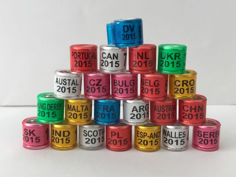 D34C25DA-F03F-46D9-9B9B-66C310B4D860 - 0 Noitati Mai 2021