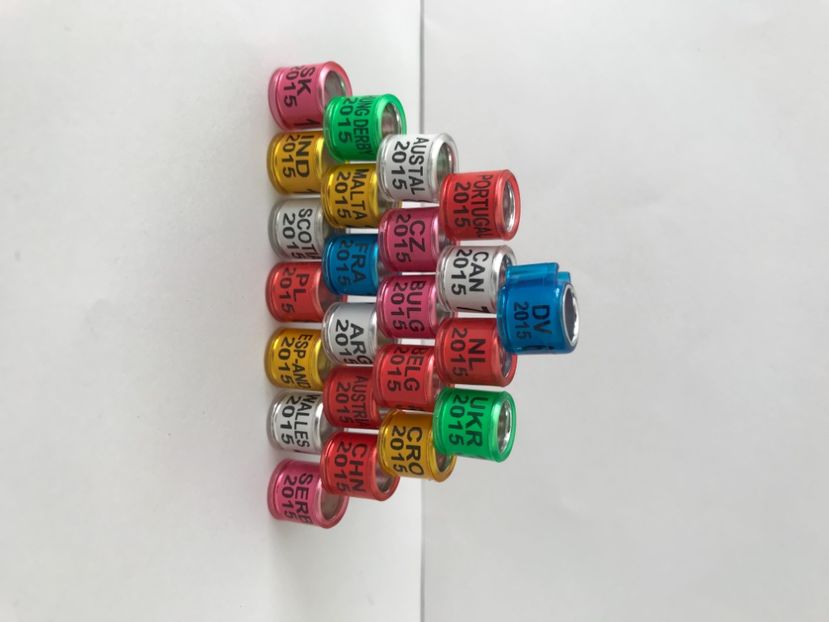 B89FAB52-AD88-4D87-B34D-1E9286EC0D1C - 0 Noitati Mai 2021