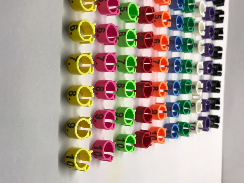 DB4428C4-ABBD-42CB-9FC2-4827DE8A1A3B - 0 Noitati Mai 2021