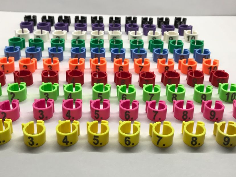 E12D9653-CC9C-462A-965A-0DC900E0E16B - 0 Noitati Mai 2021