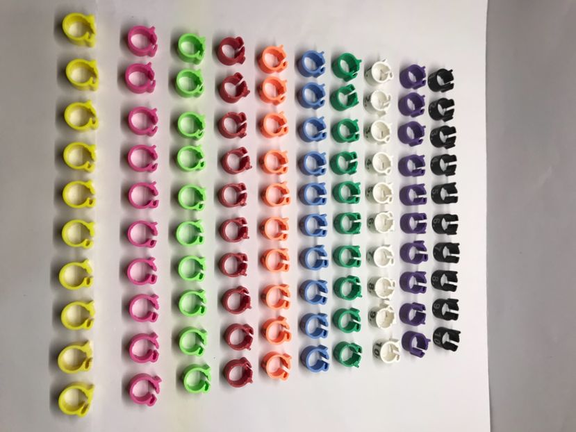 745A666B-240A-429E-B07A-AB2DB5DAE4B0 - 0 Noitati Mai 2021