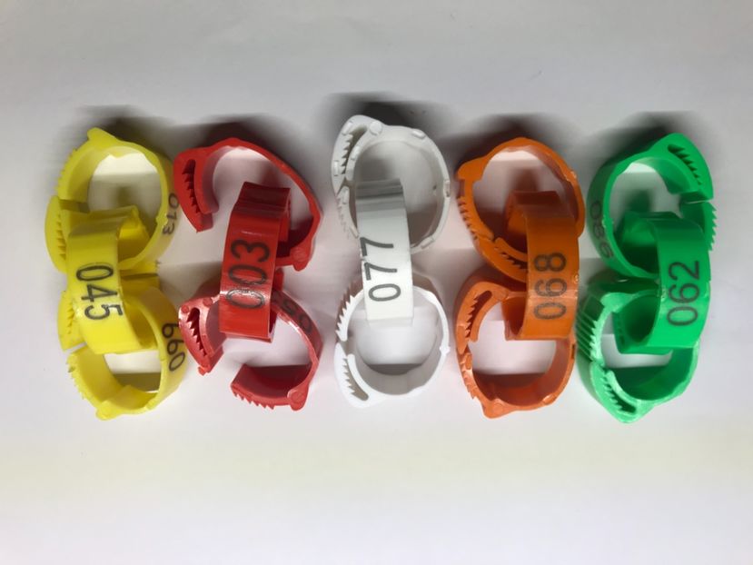 A091657A-D5F7-4FC9-BE6B-BB6012742063 - 0 Noitati Mai 2021