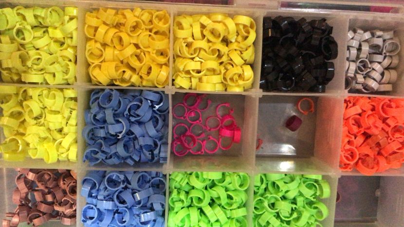 E9EB9189-B840-43F7-8282-61954F7376A0 - 0 Noitati Mai 2021