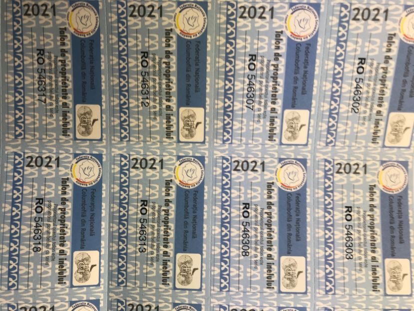 2B56C2B4-3E32-426A-8E84-E2BEC83473EB - 0 Noitati Mai 2021