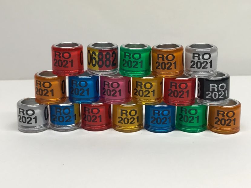 1EB3D2CA-AED8-445B-B453-9BB7E99B88F3 - 0 Noitati Mai 2021