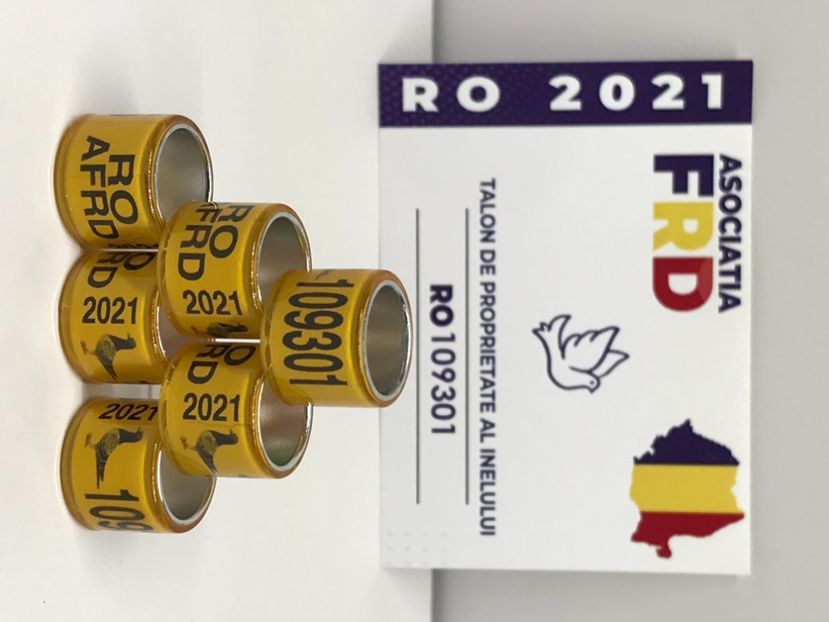 24363C17-1FA4-4490-9CAD-7BDA43C11912 - 0 Noitati Mai 2021