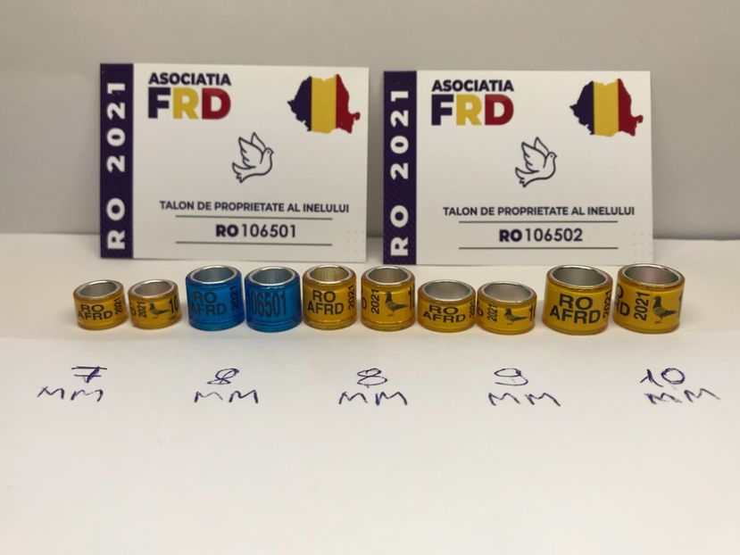 236EA746-6D11-4969-97D0-BDBE969EFB51 - 0 Noitati Mai 2021