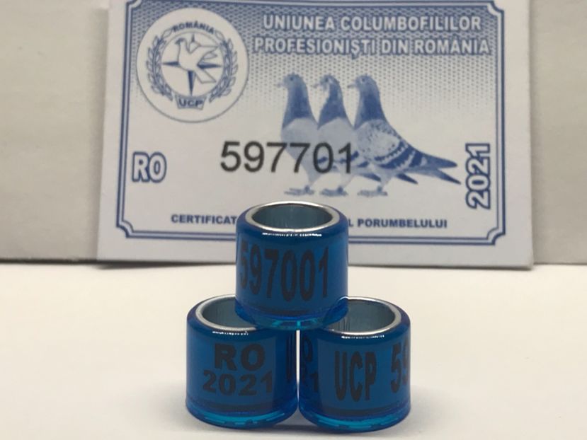 6795289C-BAFC-4014-B563-3DF5EC691498 - 0 Noitati Mai 2021