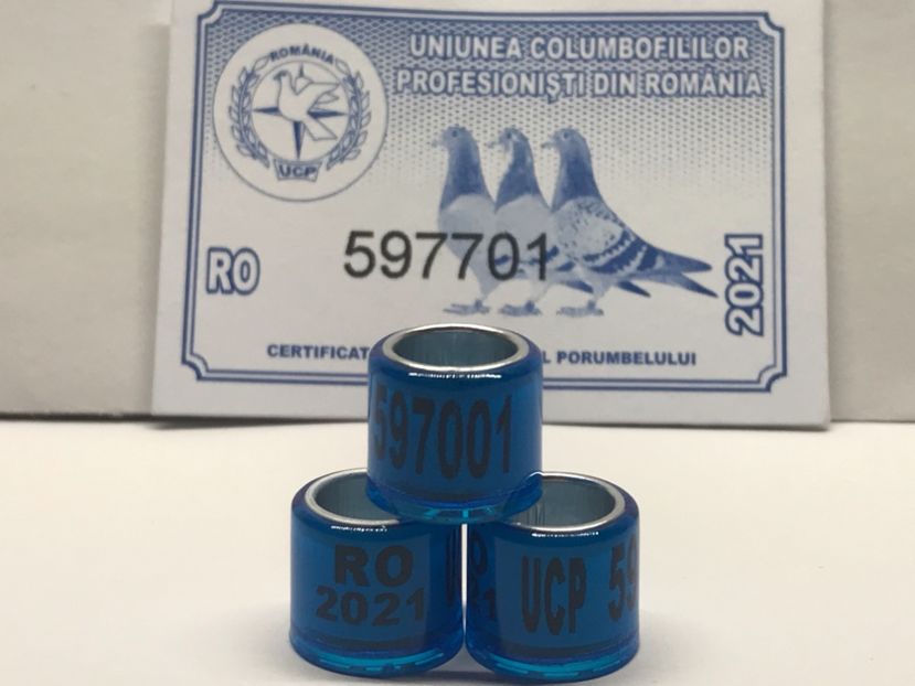 4632DBF4-66B0-4191-AACA-D9F96406EB32 - 0 Noitati Mai 2021