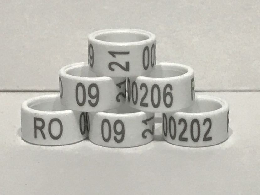 97168F6B-D00C-47B6-B87D-9B39A60CB517 - 0 Noitati Mai 2021