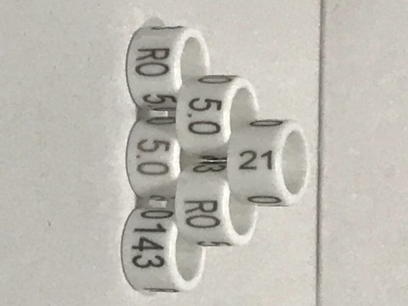 7B0340CC-80FD-40DE-81B7-72503F014F9F - 0 Noitati Mai 2021