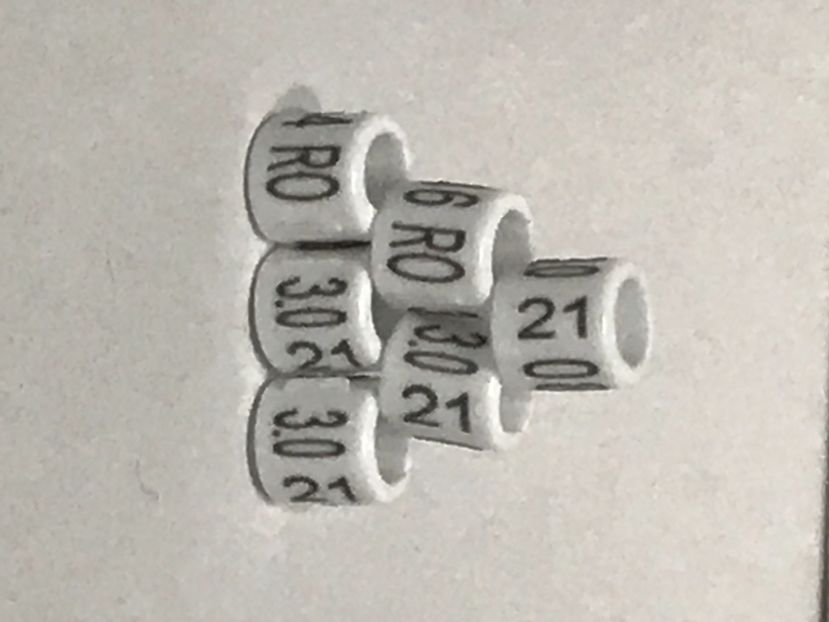 5F54F954-2C29-4ACB-ACF6-F8F4CD287445 - 0 Noitati Mai 2021