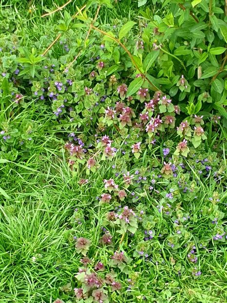  - - O - Fotografii x