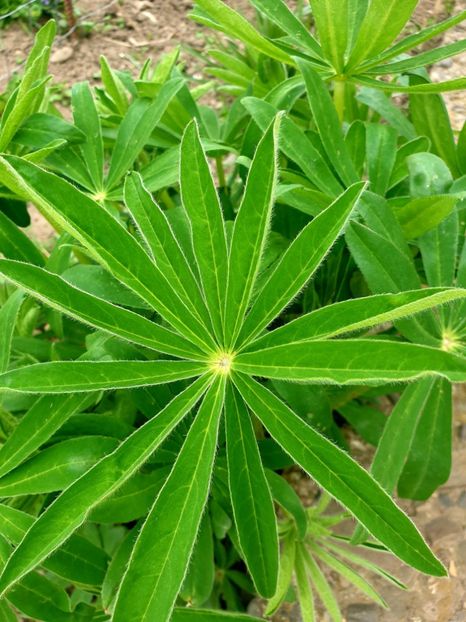  - - O - Fotografii x