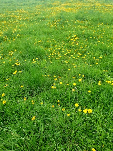  - - O - Fotografii x