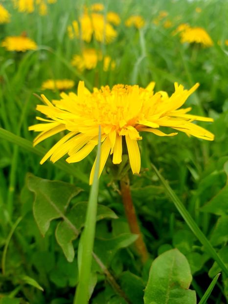  - - O - Fotografii x