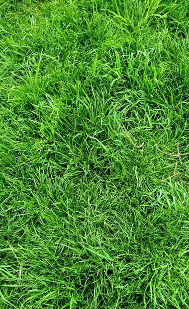  - - O - Fotografii x