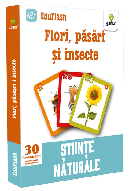 Flori, păsări și insecte 3-5 ani - EduFlash 3-6 ani