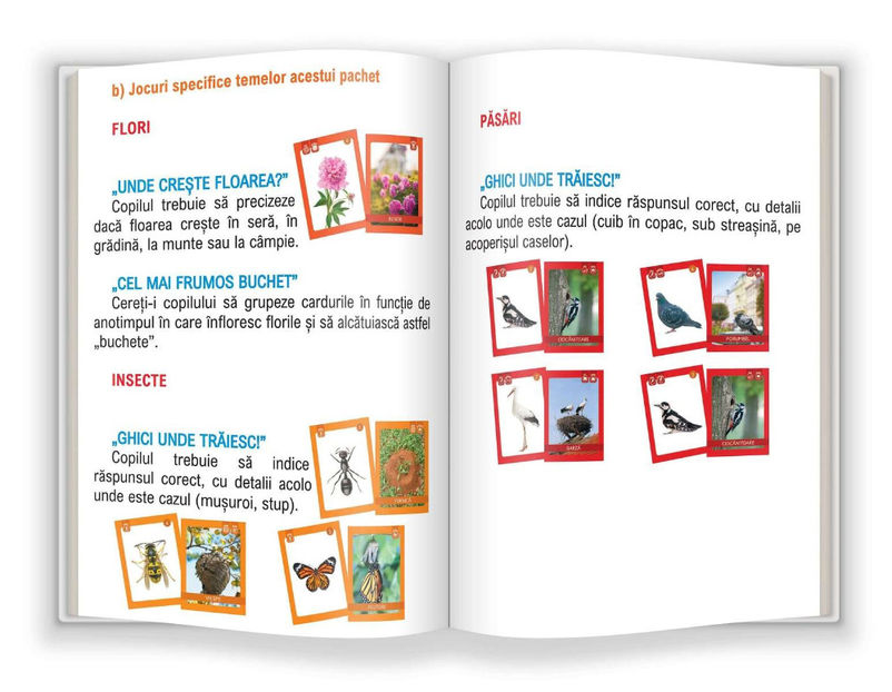 Flori, păsări și insecte 3-5 ani - EduFlash 3-6 ani