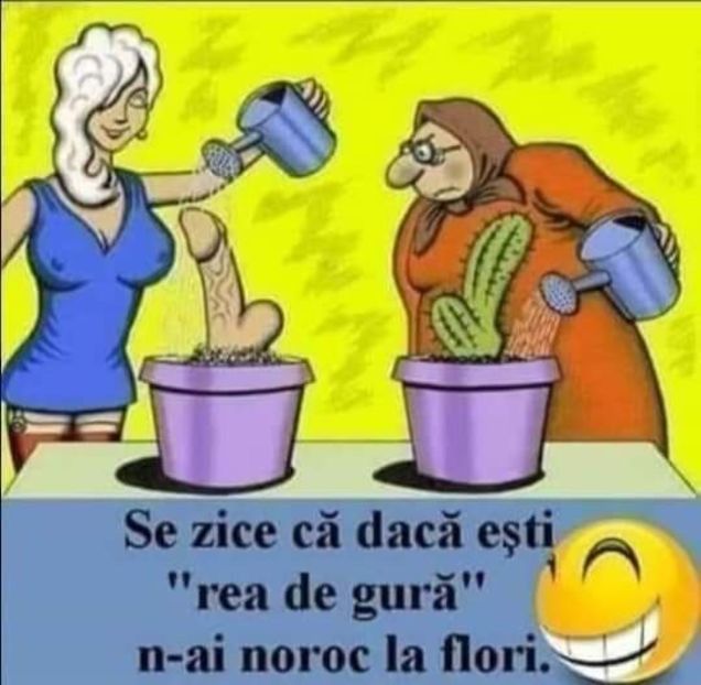  - Divertisment 4