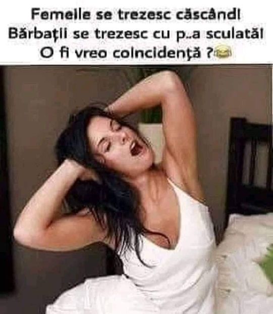 - Divertisment 4