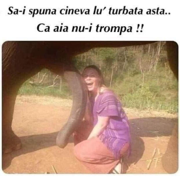  - Divertisment 4