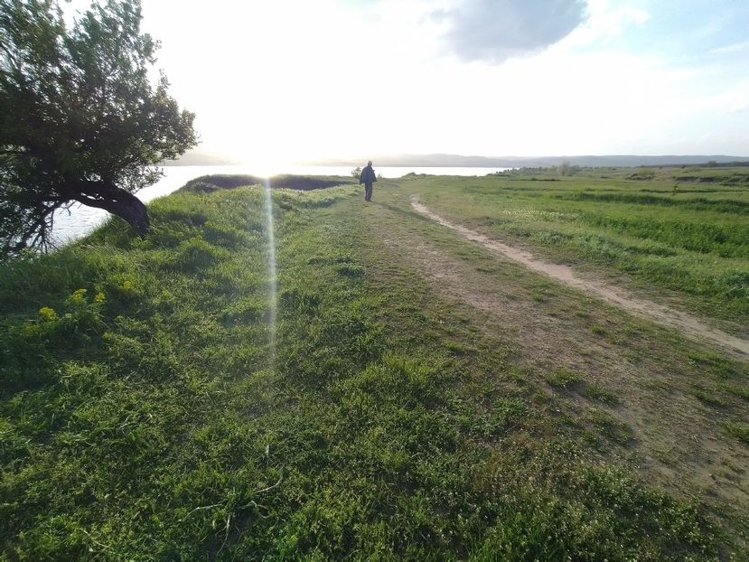 - Gradina Mariei