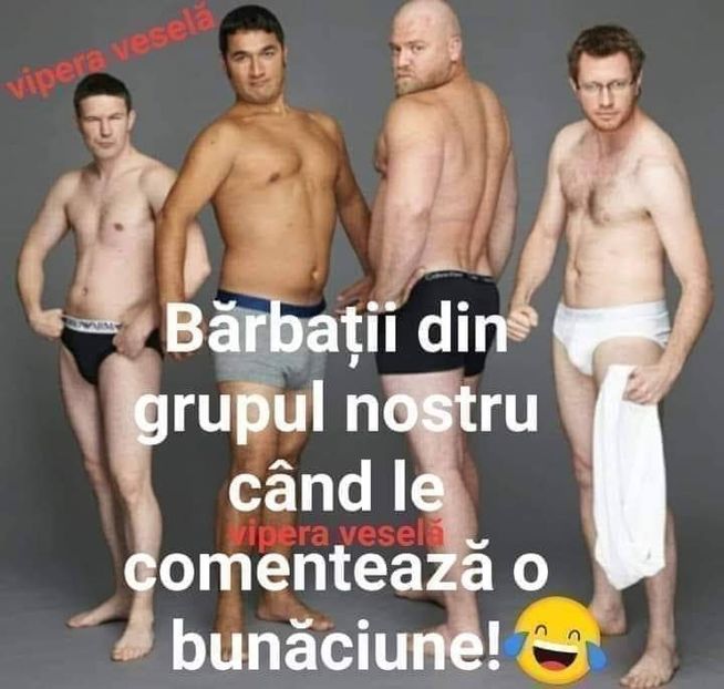  - Divertisment 4
