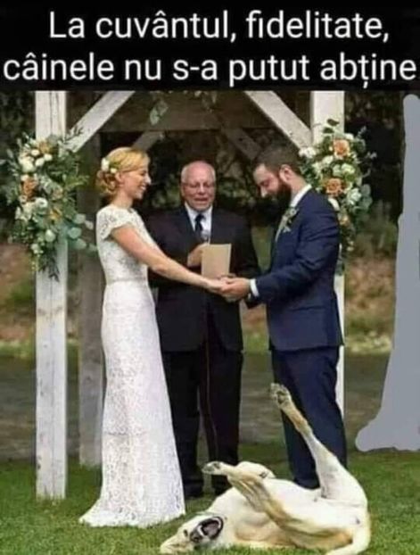  - Divertisment 4