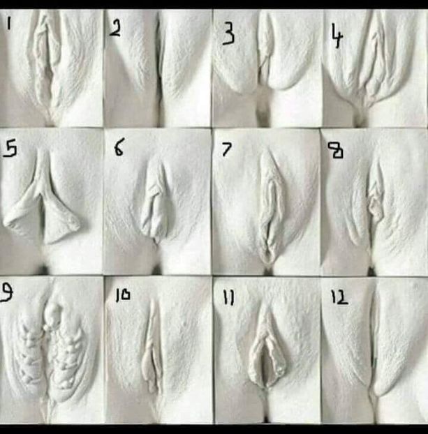  - Divertisment 4