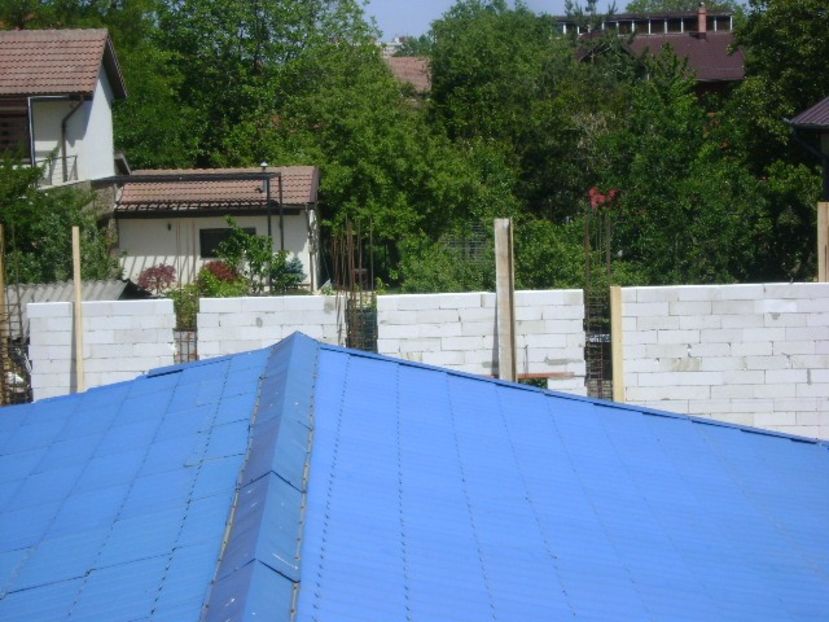 11 mai - Cineva s-a hotarat sa boicoteze peisajul - Primavara 2021-2022-2023