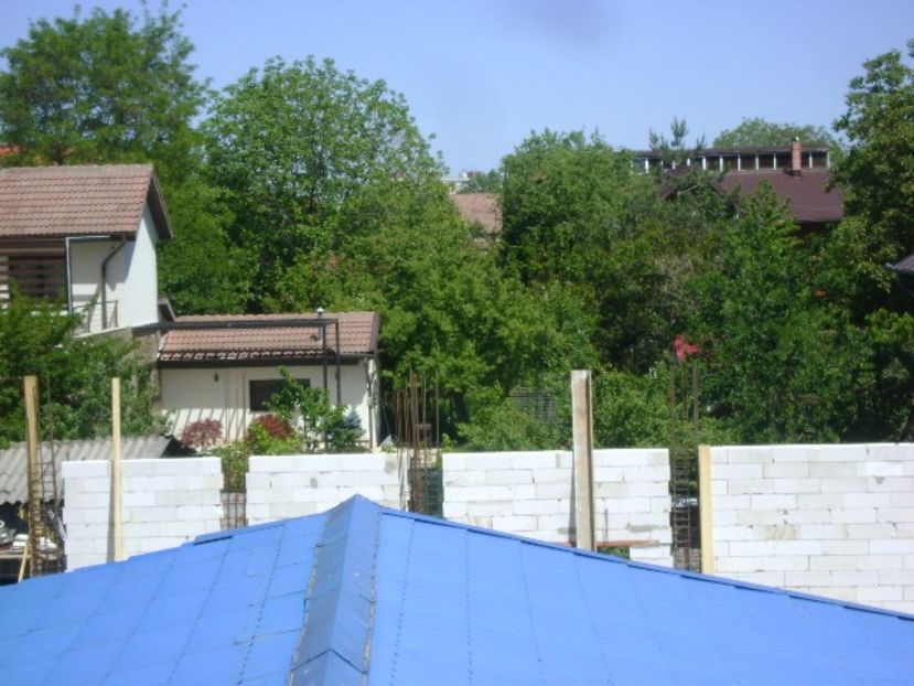 11 mai - Cineva s-a hotarat sa boicoteze peisajul - Primavara 2021-2022-2023