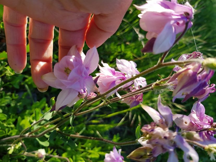  - Caldaruse 2020-2023