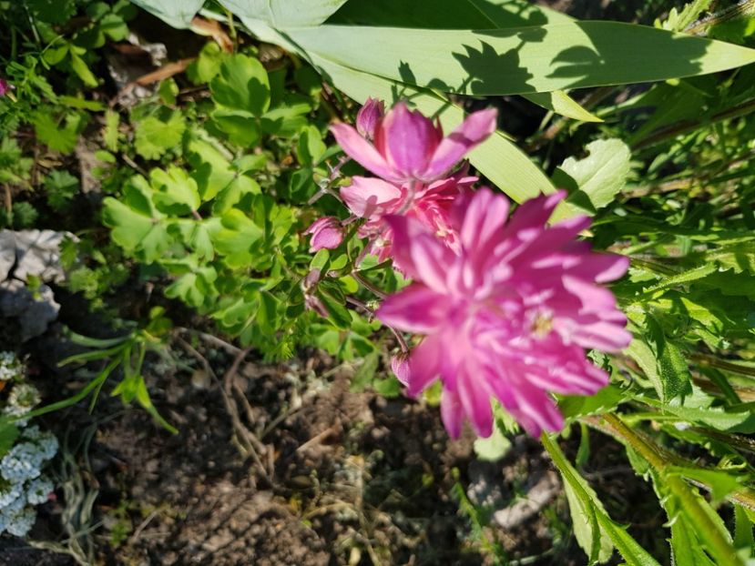  - Caldaruse 2020-2023