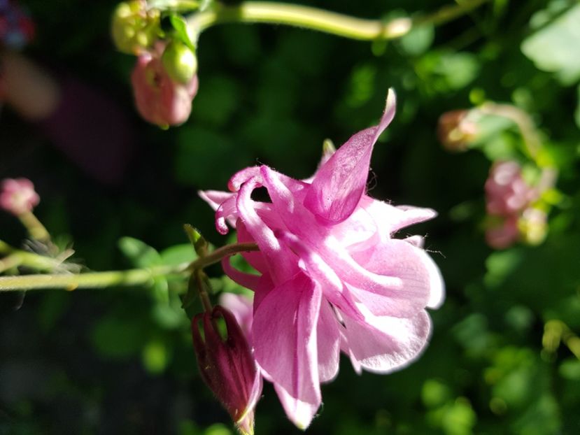  - Caldaruse 2020-2023