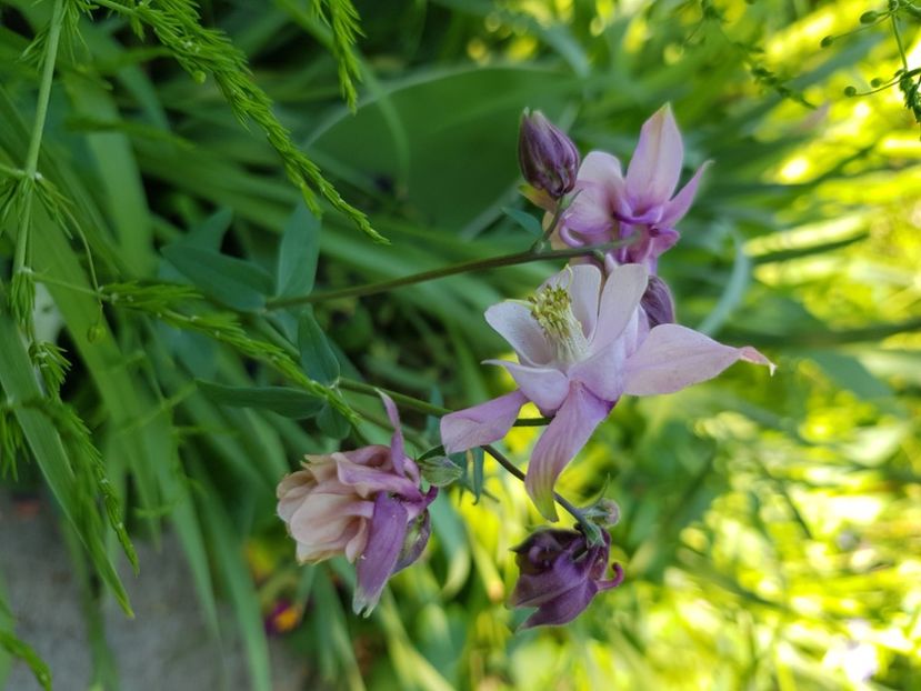  - Caldaruse 2020-2023