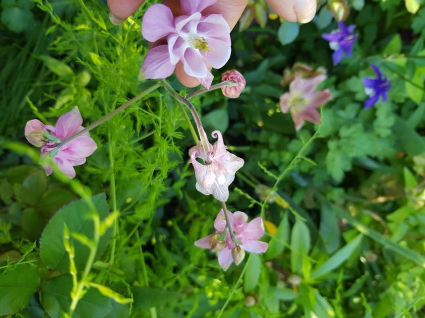  - Caldaruse 2020-2023