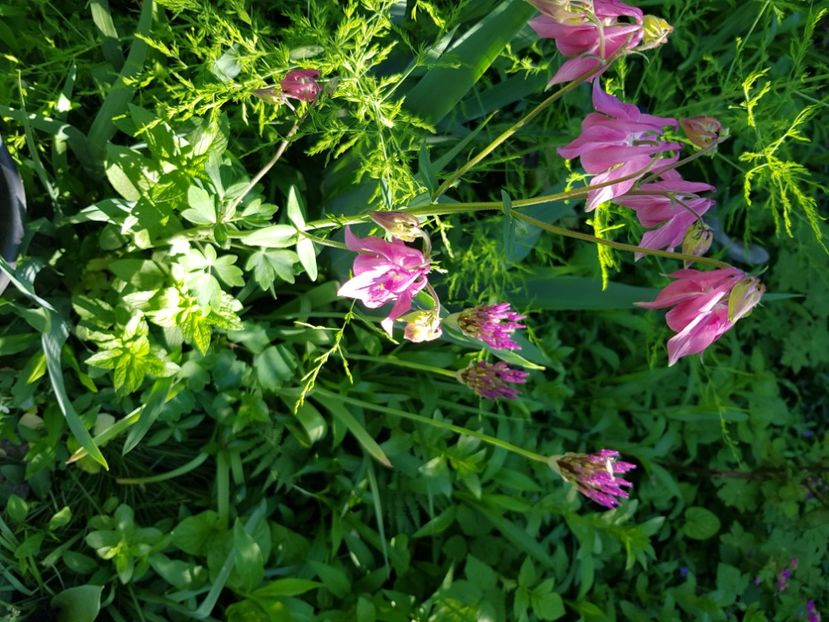  - Caldaruse 2020-2023