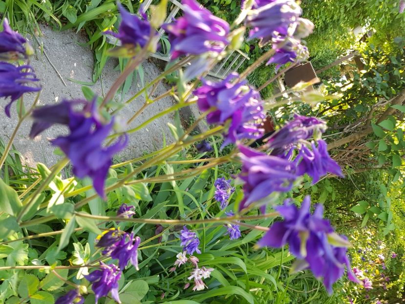  - Caldaruse 2020-2023