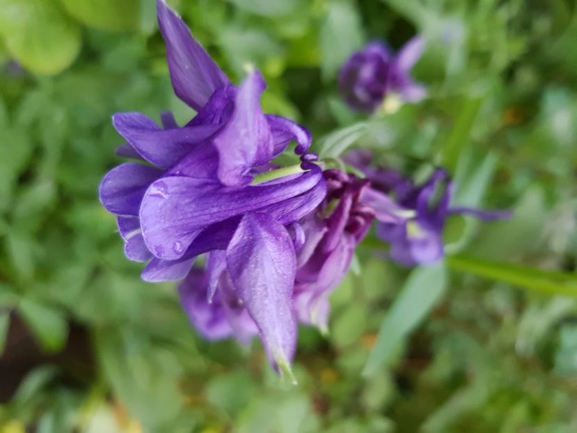  - Caldaruse 2020-2023